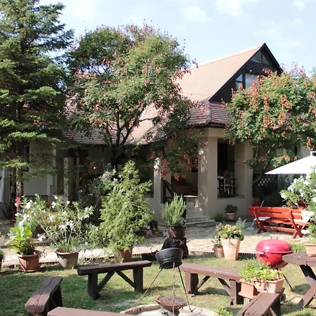 Bed & Breakfast Panzio