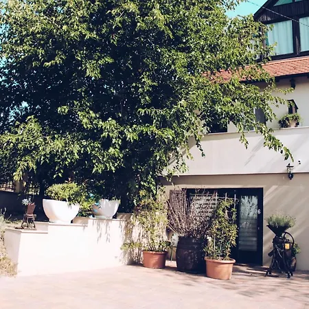 Bed & Breakfast Panzio