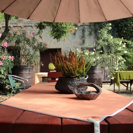Panzio Bed & Breakfast *